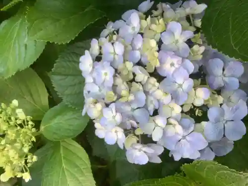 三輪神社の自然