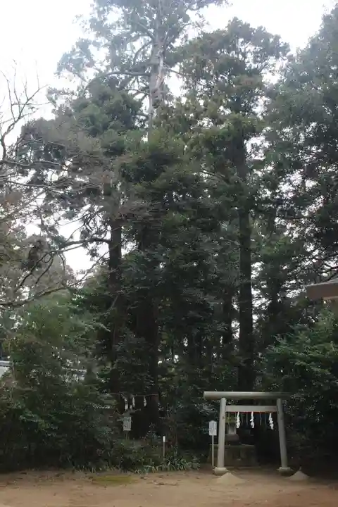 側高神社(千葉県)