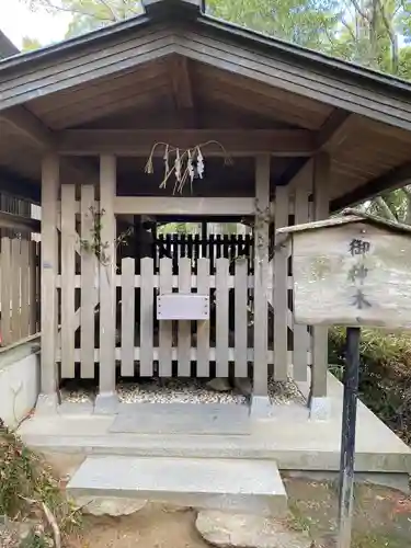 自凝島神社(兵庫県)
