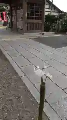 常陸第三宮　吉田神社の建物その他