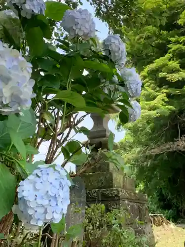 八雲神社の自然