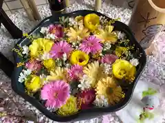 北海道神宮の芸術