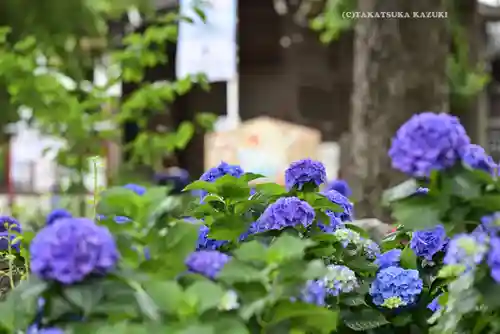 磐井神社の自然