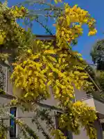 洞照寺(岐阜県)