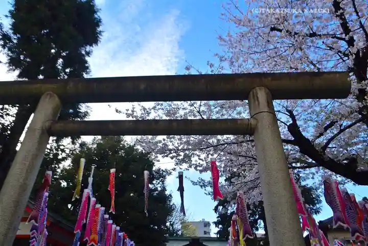 くまくま神社(導きの社 熊野町熊野神社)(東京都)