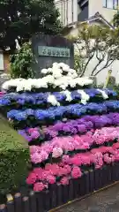 白山神社(東京都)