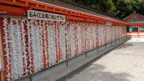 宇佐神宮のおみくじ