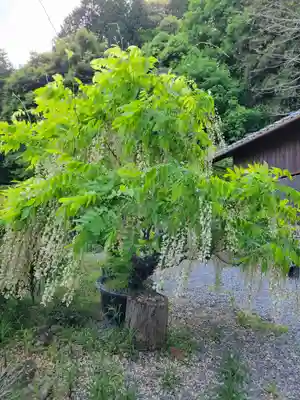大国寺(兵庫県)