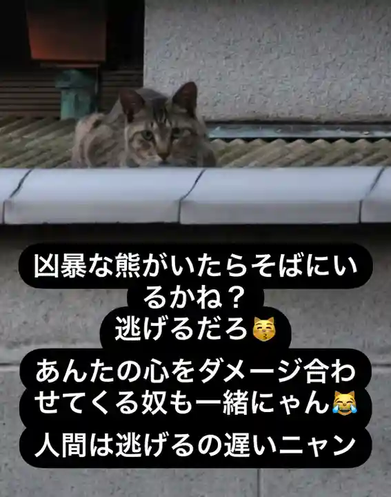 専念寺(大阪府)