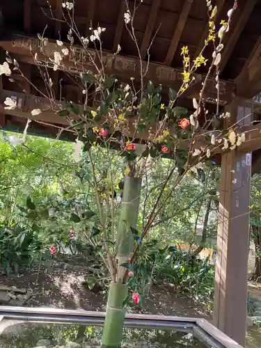 赤坂氷川神社(東京都)