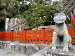 鶴岡八幡宮の狛犬