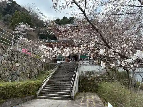南法華寺（壷阪寺）(奈良県)
