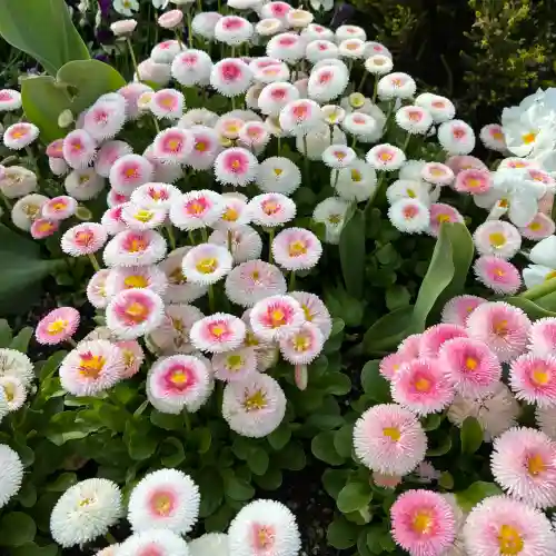 春日神社(神奈川県)