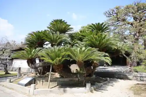 梅林寺(福岡県)