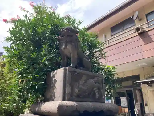 若宮八幡宮 の狛犬