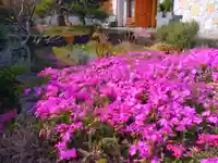 寿量山 速成寺(奈良県)