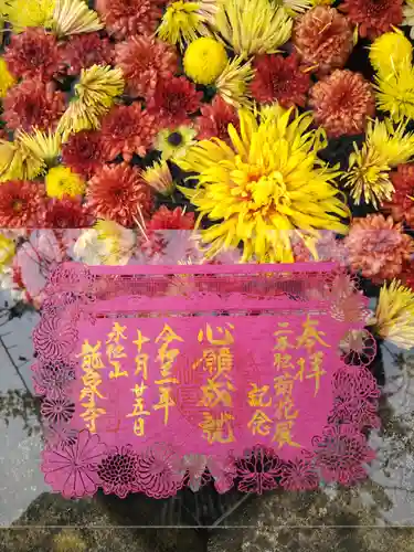 曹洞宗 永松山 龍泉寺の御朱印