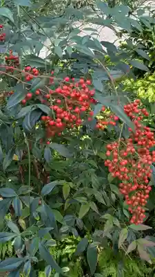 宝蔵寺(京都府)