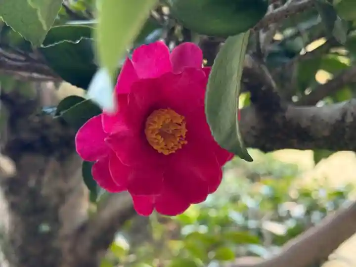 西方山極楽寺(岐阜県)