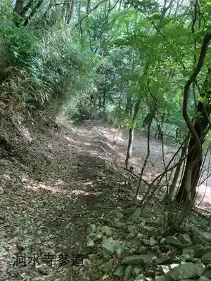 洞水寺(長野県)