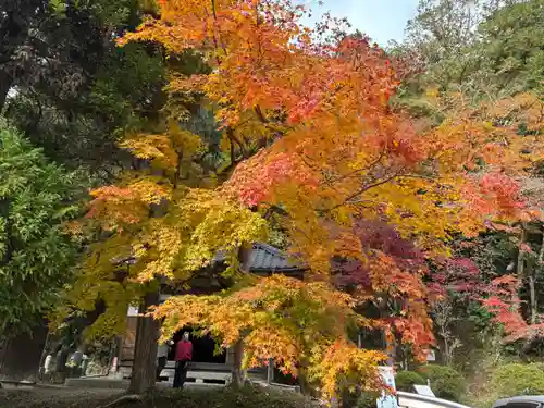 安国寺(京都府)