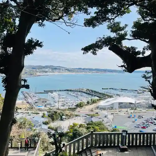 江島神社の景色