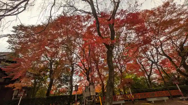 松ヶ崎大黒天 妙圓寺(妙円寺)(京都府)