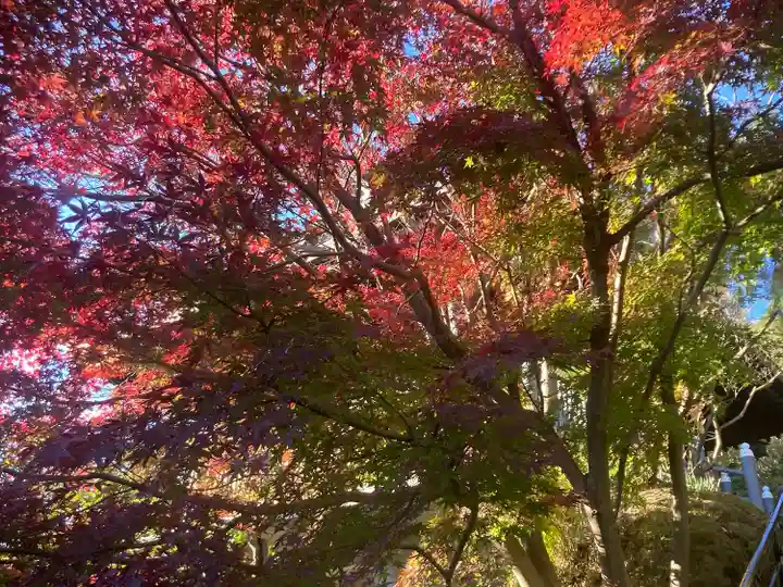 大船観音寺(神奈川県)