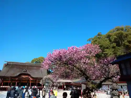 太宰府天満宮の建物その他