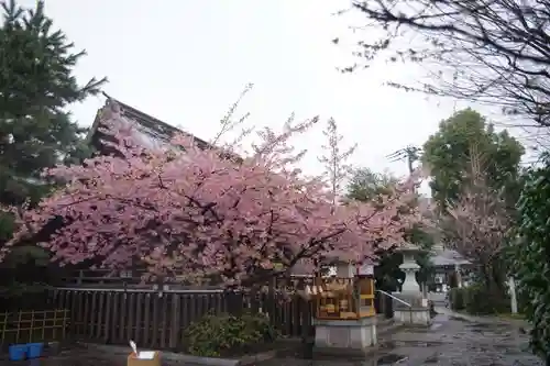 新宿下落合氷川神社のその他建物