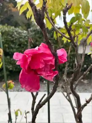 総持寺(滋賀県)