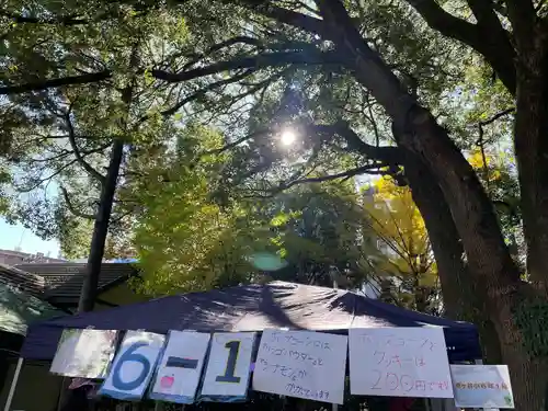 洲崎大神(神奈川県)
