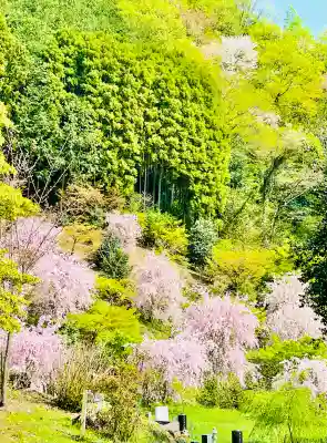 正蓮寺の{uncategorized: "未分類", other: "その他", undefined: "問題あり", building: "その他建物", grave: "お墓", sacred_gate: "鳥居", guardian: "狛犬", statue: "像", buddha: "仏像", history: "歴史", nature: "自然", garden: "庭園", animal: "動物", pagoda: "塔", temizu: "手水舎", mountain_gate: "山門・神門", sanctuary: "本殿・本堂", subordinate: "末社・摂社", art: "芸術", scenery: "景色", jizo: "地蔵", ema: "絵馬", goshuin: "御朱印", omikuji: "おみくじ", items: "授与品その他", amulet: "お守り", goshuincho: "御朱印帳", eats: "食事", festival: "お祭り", votive_dance: "神楽", shichigosan: "七五三参", wedding: "結婚式", experience: "体験その他", initially: "初詣", around: "周辺", anti_infection: "感染症対策"}
