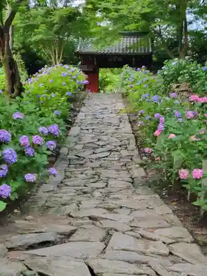 本光寺(愛知県)