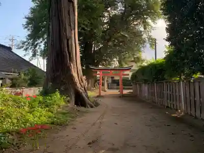 八幡大神(千葉県)