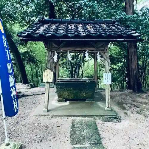 日本唯一香辛料の神　波自加彌神社(石川県)