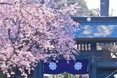 密藏院(埼玉県)