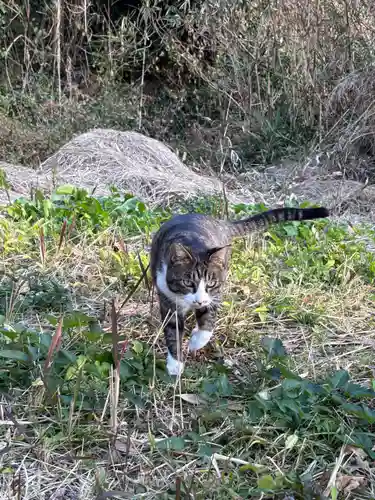 鵜戸神社(大御神社境内社)(宮崎県)