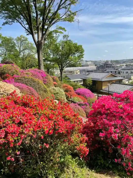 等覚院(神奈川県)