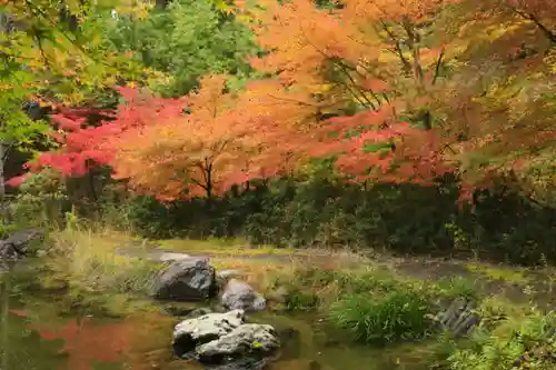 常照寺(京都府)