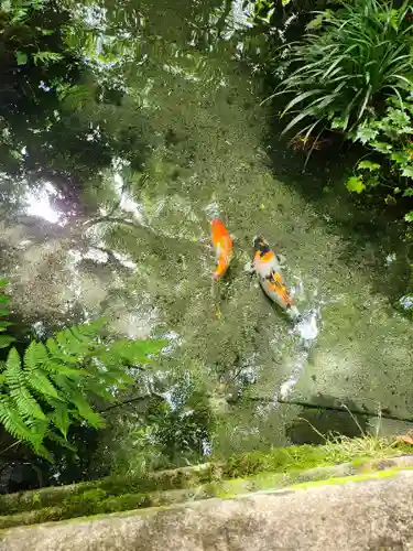 光明寺瑠璃光院(京都府)