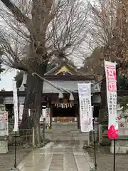 亀ケ池八幡宮(神奈川県)