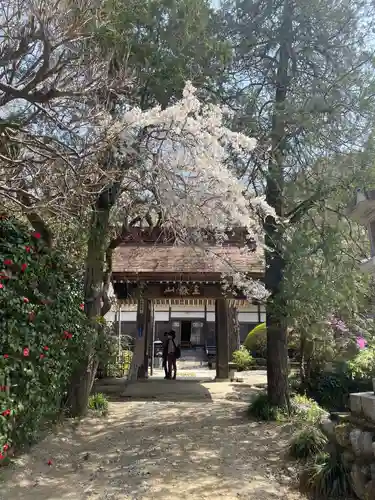 法善寺の山門