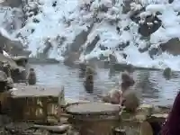 上林不動尊の{uncategorized: "未分類", other: "その他", undefined: "問題あり", building: "その他建物", grave: "お墓", sacred_gate: "鳥居", guardian: "狛犬", statue: "像", buddha: "仏像", history: "歴史", nature: "自然", garden: "庭園", animal: "動物", pagoda: "塔", temizu: "手水舎", mountain_gate: "山門・神門", sanctuary: "本殿・本堂", subordinate: "末社・摂社", art: "芸術", scenery: "景色", jizo: "地蔵", ema: "絵馬", goshuin: "御朱印", omikuji: "おみくじ", items: "授与品その他", amulet: "お守り", goshuincho: "御朱印帳", eats: "食事", festival: "お祭り", votive_dance: "神楽", shichigosan: "七五三参", wedding: "結婚式", experience: "体験その他", initially: "初詣", around: "周辺", anti_infection: "感染症対策"}