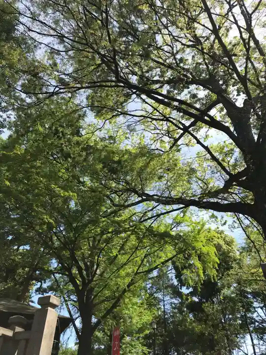 鬼子母神堂 (法明寺)の自然