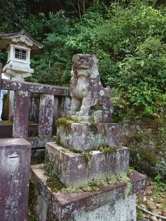 伊奈波神社の狛犬
