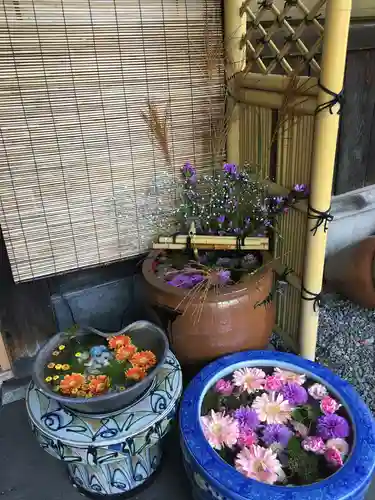 多賀神社の手水