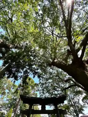 岩崎神社(長野県)