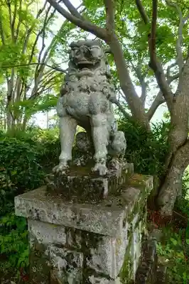 𠮷水神社（吉水神社）の狛犬