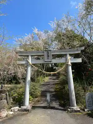霧島神社の鳥居